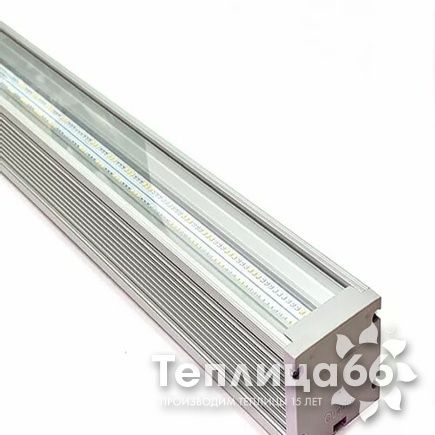 Фитосветильник ДСП 04-102-002 FitoLED Profi 102 Orange